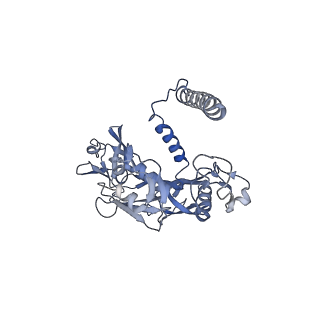 20872_6v8i_CE_v1-1
Composite atomic model of the Staphylococcus aureus phage 80alpha baseplate