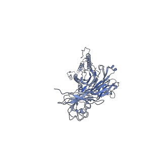 20872_6v8i_CI_v1-0
Composite atomic model of the Staphylococcus aureus phage 80alpha baseplate