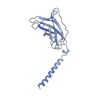 20872_6v8i_CJ_v1-1
Composite atomic model of the Staphylococcus aureus phage 80alpha baseplate