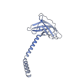 20872_6v8i_CK_v1-1
Composite atomic model of the Staphylococcus aureus phage 80alpha baseplate