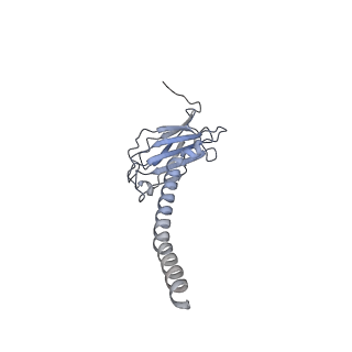 20872_6v8i_CL_v1-1
Composite atomic model of the Staphylococcus aureus phage 80alpha baseplate