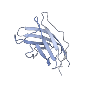 20872_6v8i_CM_v1-1
Composite atomic model of the Staphylococcus aureus phage 80alpha baseplate