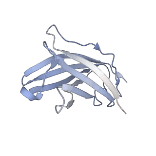 20872_6v8i_CN_v1-0
Composite atomic model of the Staphylococcus aureus phage 80alpha baseplate