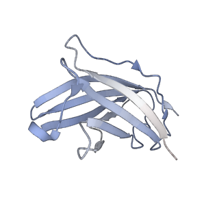 20872_6v8i_CN_v1-1
Composite atomic model of the Staphylococcus aureus phage 80alpha baseplate