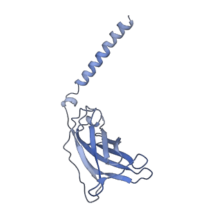 20872_6v8i_DJ_v1-0
Composite atomic model of the Staphylococcus aureus phage 80alpha baseplate