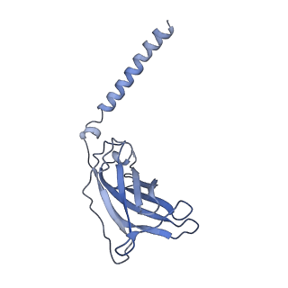 20872_6v8i_DJ_v1-1
Composite atomic model of the Staphylococcus aureus phage 80alpha baseplate