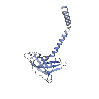 20872_6v8i_DK_v1-1
Composite atomic model of the Staphylococcus aureus phage 80alpha baseplate