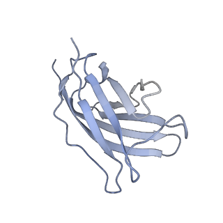 20872_6v8i_DM_v1-0
Composite atomic model of the Staphylococcus aureus phage 80alpha baseplate