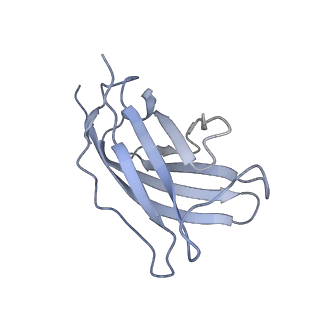 20872_6v8i_DM_v1-1
Composite atomic model of the Staphylococcus aureus phage 80alpha baseplate