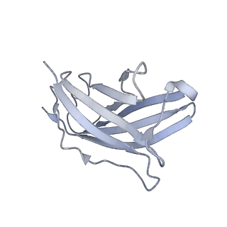 20872_6v8i_DN_v1-0
Composite atomic model of the Staphylococcus aureus phage 80alpha baseplate