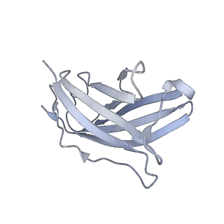 20872_6v8i_DN_v1-1
Composite atomic model of the Staphylococcus aureus phage 80alpha baseplate