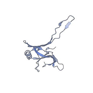 20872_6v8i_EA_v1-0
Composite atomic model of the Staphylococcus aureus phage 80alpha baseplate