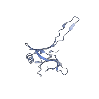 20872_6v8i_EA_v1-1
Composite atomic model of the Staphylococcus aureus phage 80alpha baseplate