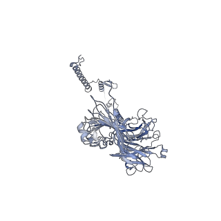 20872_6v8i_EG_v1-1
Composite atomic model of the Staphylococcus aureus phage 80alpha baseplate