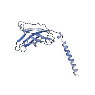 20872_6v8i_EJ_v1-1
Composite atomic model of the Staphylococcus aureus phage 80alpha baseplate