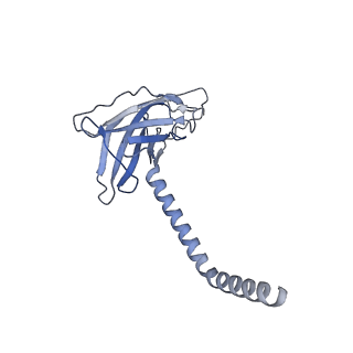 20872_6v8i_EK_v1-1
Composite atomic model of the Staphylococcus aureus phage 80alpha baseplate