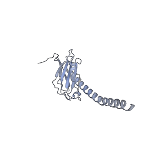 20872_6v8i_EL_v1-0
Composite atomic model of the Staphylococcus aureus phage 80alpha baseplate