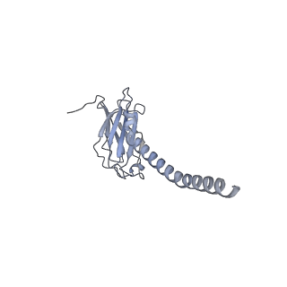 20872_6v8i_EL_v1-1
Composite atomic model of the Staphylococcus aureus phage 80alpha baseplate