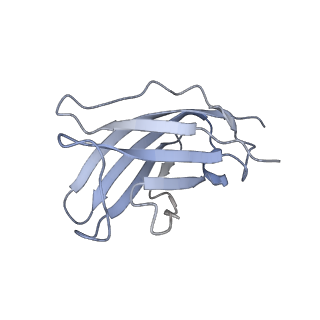 20872_6v8i_EM_v1-1
Composite atomic model of the Staphylococcus aureus phage 80alpha baseplate