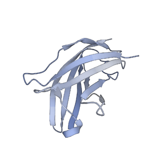 20872_6v8i_EN_v1-1
Composite atomic model of the Staphylococcus aureus phage 80alpha baseplate