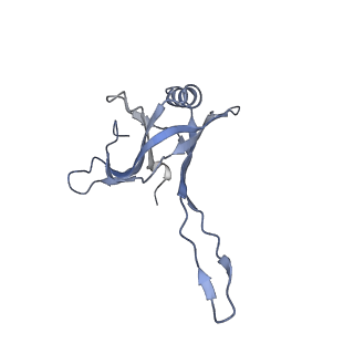 20872_6v8i_FA_v1-1
Composite atomic model of the Staphylococcus aureus phage 80alpha baseplate