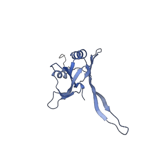 20872_6v8i_FB_v1-0
Composite atomic model of the Staphylococcus aureus phage 80alpha baseplate