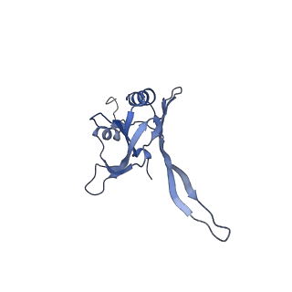 20872_6v8i_FB_v1-1
Composite atomic model of the Staphylococcus aureus phage 80alpha baseplate