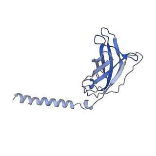 20872_6v8i_FJ_v1-0
Composite atomic model of the Staphylococcus aureus phage 80alpha baseplate