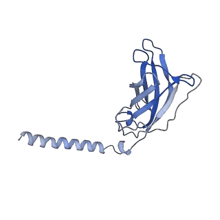 20872_6v8i_FJ_v1-1
Composite atomic model of the Staphylococcus aureus phage 80alpha baseplate