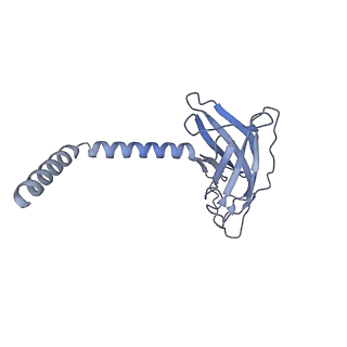 20872_6v8i_FK_v1-1
Composite atomic model of the Staphylococcus aureus phage 80alpha baseplate