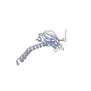 20872_6v8i_FL_v1-1
Composite atomic model of the Staphylococcus aureus phage 80alpha baseplate