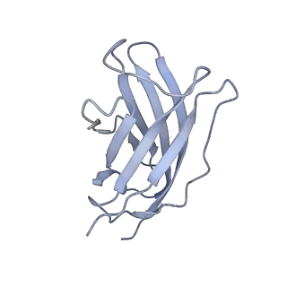 20872_6v8i_FM_v1-0
Composite atomic model of the Staphylococcus aureus phage 80alpha baseplate
