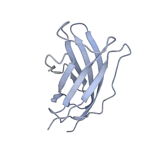 20872_6v8i_FM_v1-1
Composite atomic model of the Staphylococcus aureus phage 80alpha baseplate