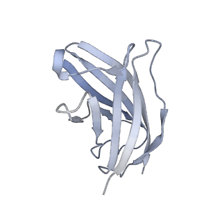 20872_6v8i_FN_v1-0
Composite atomic model of the Staphylococcus aureus phage 80alpha baseplate