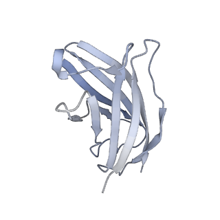 20872_6v8i_FN_v1-1
Composite atomic model of the Staphylococcus aureus phage 80alpha baseplate