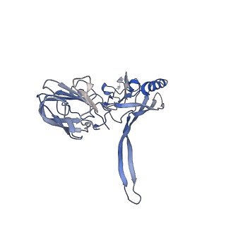20873_6v8i_AC_v1-0
Composite atomic model of the Staphylococcus aureus phage 80alpha baseplate