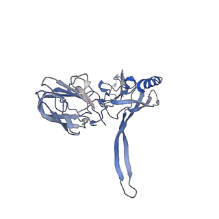 20873_6v8i_AC_v1-1
Composite atomic model of the Staphylococcus aureus phage 80alpha baseplate