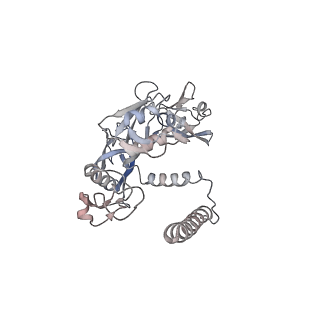 20873_6v8i_AE_v1-1
Composite atomic model of the Staphylococcus aureus phage 80alpha baseplate