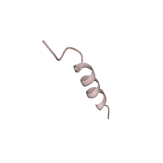 20873_6v8i_AF_v1-1
Composite atomic model of the Staphylococcus aureus phage 80alpha baseplate