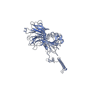 20873_6v8i_AG_v1-0
Composite atomic model of the Staphylococcus aureus phage 80alpha baseplate