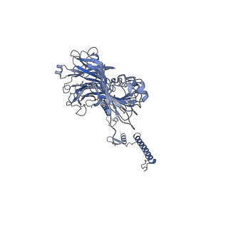 20873_6v8i_AG_v1-1
Composite atomic model of the Staphylococcus aureus phage 80alpha baseplate