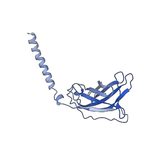 20873_6v8i_AJ_v1-1
Composite atomic model of the Staphylococcus aureus phage 80alpha baseplate