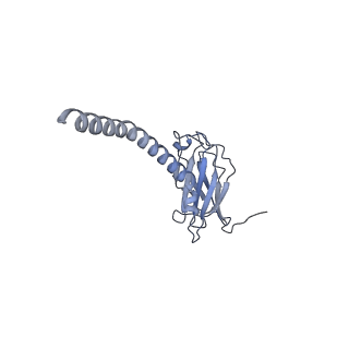 20873_6v8i_AL_v1-0
Composite atomic model of the Staphylococcus aureus phage 80alpha baseplate
