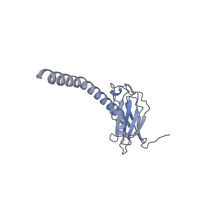 20873_6v8i_AL_v1-1
Composite atomic model of the Staphylococcus aureus phage 80alpha baseplate