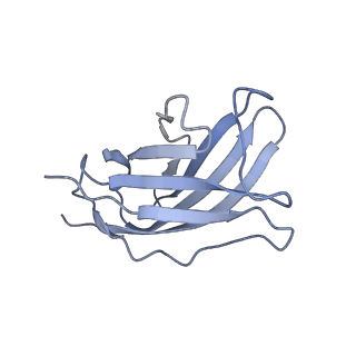 20873_6v8i_AM_v1-1
Composite atomic model of the Staphylococcus aureus phage 80alpha baseplate