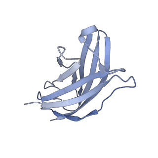 20873_6v8i_AN_v1-1
Composite atomic model of the Staphylococcus aureus phage 80alpha baseplate