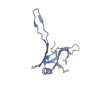 20873_6v8i_BA_v1-1
Composite atomic model of the Staphylococcus aureus phage 80alpha baseplate