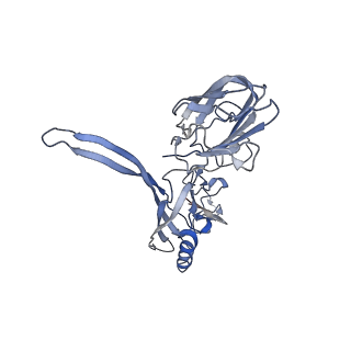 20873_6v8i_BC_v1-0
Composite atomic model of the Staphylococcus aureus phage 80alpha baseplate