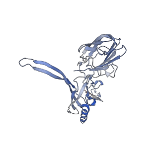 20873_6v8i_BC_v1-1
Composite atomic model of the Staphylococcus aureus phage 80alpha baseplate