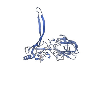 20873_6v8i_BD_v1-0
Composite atomic model of the Staphylococcus aureus phage 80alpha baseplate